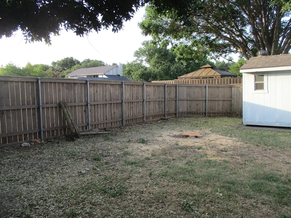 Cleared yard after professional tree removal in Kerens